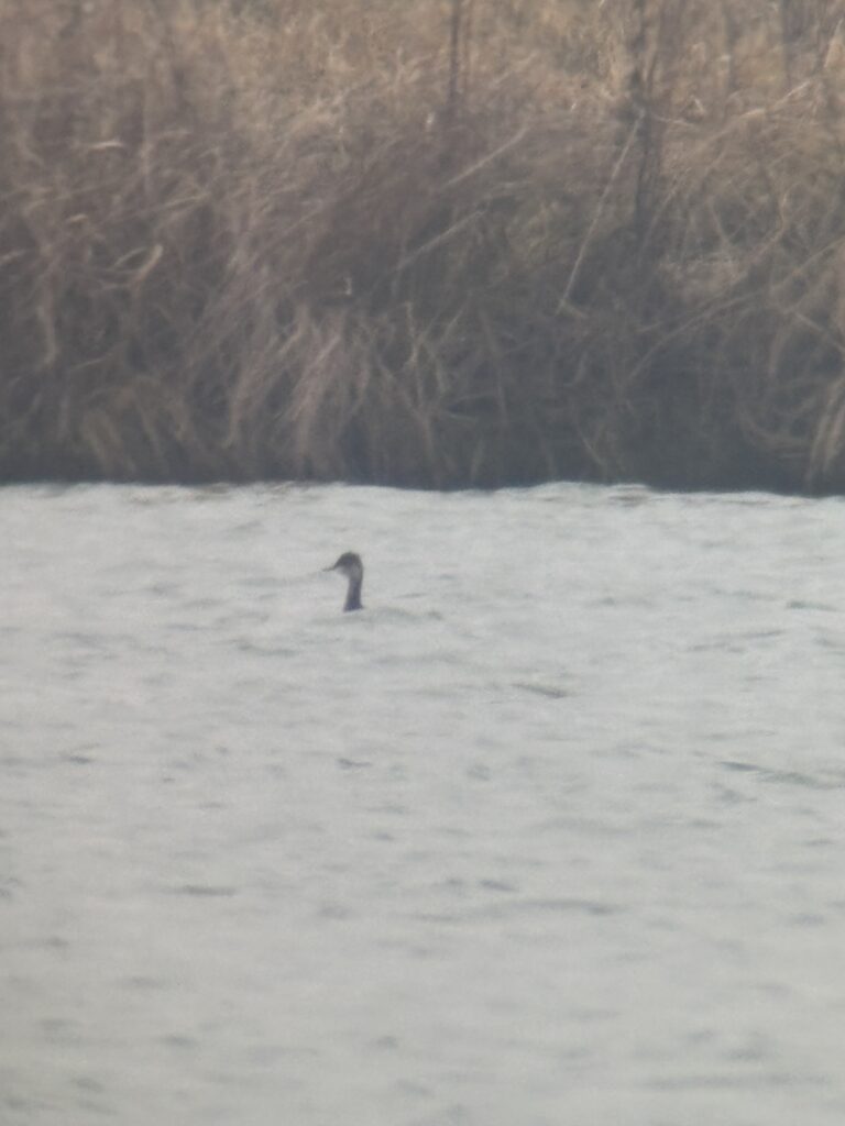 Rätselbild Nr. 20 (Florian Billinger)