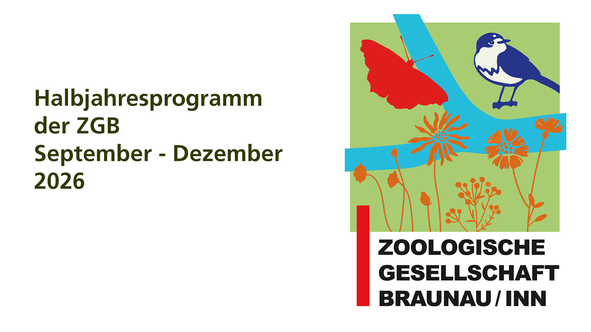 Halbjahresprogramm September – Dezember 2026