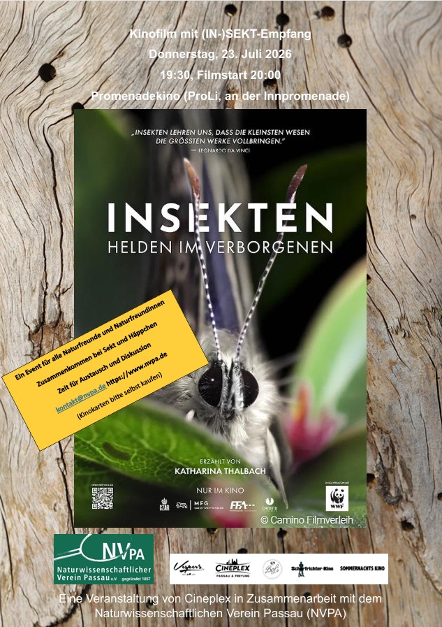 Kinofilm mit (In-)SEKT-Empfang